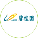 项目图片